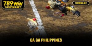 ảnh đại diện đá gà philippines 789Win