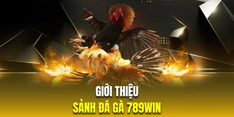 Giao diện của hệ thống đá gà 789Win Giao diện của hệ thống đá gà 789Win