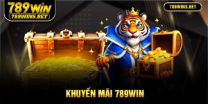 ảnh đại diện khuyến mãi 789win