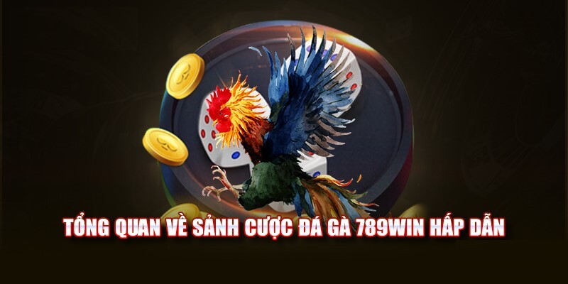 Sơ lược về bộ môn đá gà 789Win Sơ lược về bộ môn đá gà 789Win