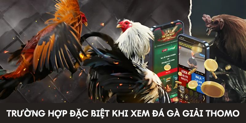 Trường hợp đặc biệt khi xem đá gà Thomo Trường hợp đặc biệt khi xem đá gà Thomo