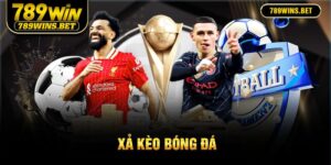 ảnh đại diện xả kèo bóng đá 789Win